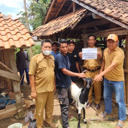 Pemberian Bantuan Ternak Kambing ke Karang Taruna